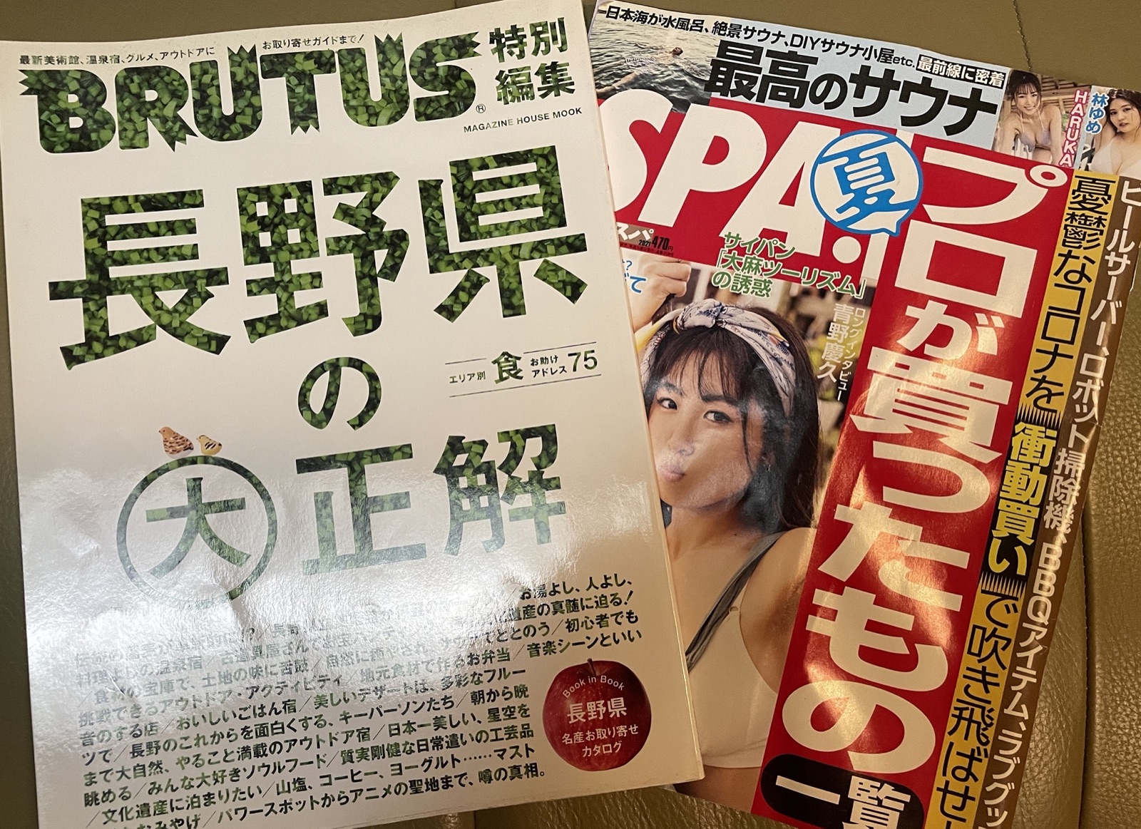 掲載誌の実物